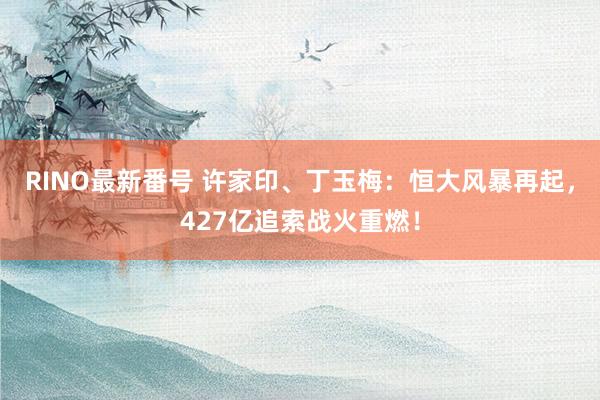 RINO最新番号 许家印、丁玉梅：恒大风暴再起，427亿追索战火重燃！