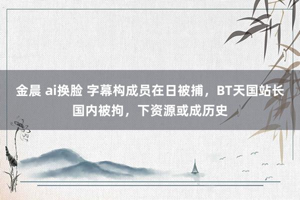 金晨 ai换脸 字幕构成员在日被捕，BT天国站长国内被拘，下资源或成历史