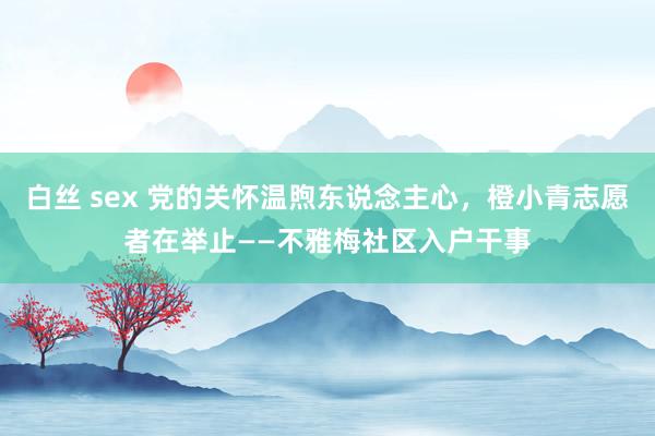 白丝 sex 党的关怀温煦东说念主心，橙小青志愿者在举止——不雅梅社区入户干事