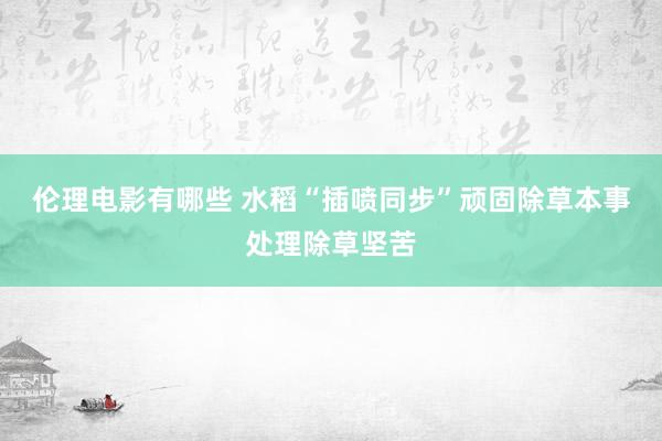 伦理电影有哪些 水稻“插喷同步”顽固除草本事处理除草坚苦