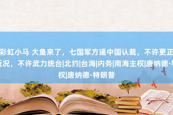 彩虹小马 大鱼来了，七国军方逼中国认栽，不许更正南海近况，不许武力统台|北约|台海|内务|南海主权|唐纳德·特朗普