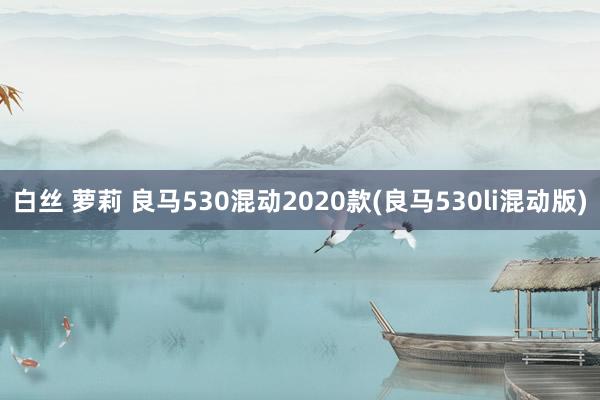 白丝 萝莉 良马530混动2020款(良马530li混动版)