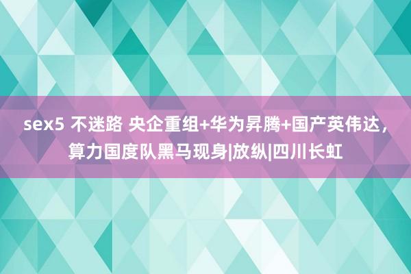 sex5 不迷路 央企重组+华为昇腾+国产英伟达，算力国度队黑马现身|放纵|四川长虹