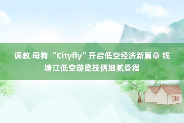 调教 母狗 “Cityfly”开启低空经济新篇章 钱塘江低空游览技俩细腻登程