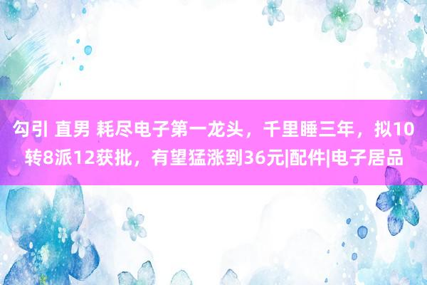 勾引 直男 耗尽电子第一龙头，千里睡三年，拟10转8派12获批，有望猛涨到36元|配件|电子居品