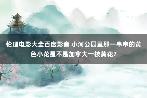 伦理电影大全百度影音 小河公园里那一串串的黄色小花是不是加拿大一枝黄花？