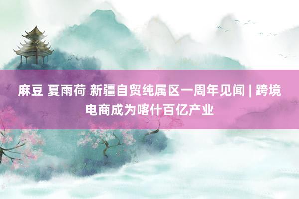 麻豆 夏雨荷 新疆自贸纯属区一周年见闻 | 跨境电商成为喀什百亿产业