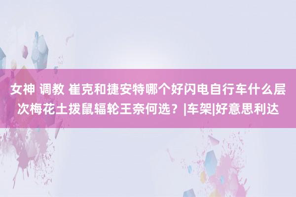 女神 调教 崔克和捷安特哪个好闪电自行车什么层次梅花土拨鼠辐轮王奈何选？|车架|好意思利达