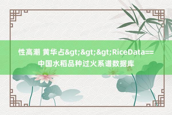 性高潮 黄华占>>>RiceData==中国水稻品种过火系谱数据库