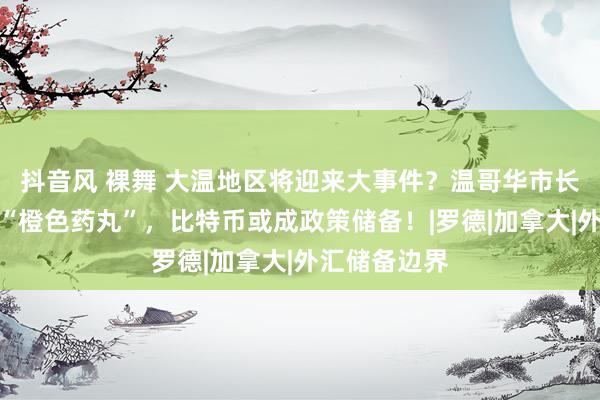 抖音风 裸舞 大温地区将迎来大事件？温哥华市长一会儿抛出“橙色药丸”，比特币或成政策储备！|罗德|加拿大|外汇储备边界