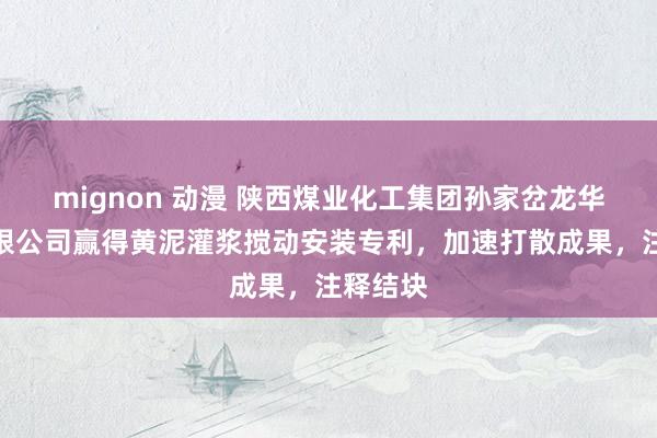 mignon 动漫 陕西煤业化工集团孙家岔龙华矿业有限公司赢得黄泥灌浆搅动安装专利，加速打散成果，注释结块